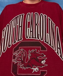 Vintage South Carolina Gamecocks College Ncaa T-Shirt, Sweatshirt, Hoodie, Usc Hoodie Gifts For Ncaa Fans Full Size