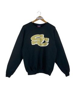 Vintage South Carolina University Sweatshirt, Champion South Carolina University Pullover Crewneck Hoodie