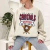 Vintage St. Louis Baseball Shirt, St. Louis MLB Shirt, Baseball Fan Gifts, St. Louis Fan Shirt