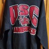 Vintage Tultex Ncaa Sec South Carolina Gamecocks Sweatshirt, Hoodie, Sweatshirt, Usc Gifts For Ncaa Fans