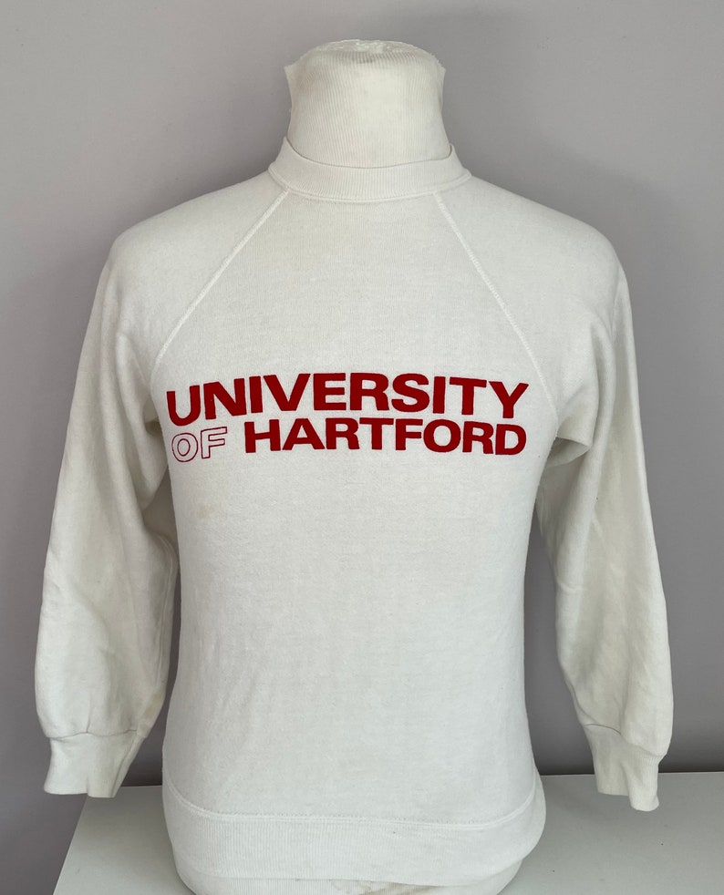 Vintage University Of Hartford Hawks 1980s Unisex Sweatshirt Hoodie Shirt