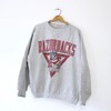 Vintage University of Arkansas Razorbacks Sweatshirt, Vintage 90s Sweatshirt