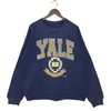Vintage Yale University, Yale Bulldogs, Connecticut, College Student Shirt, Unisex Shirt Sweater Hoodie