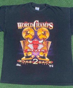 1992 Chicago Bulls Back-To-Back Champions T-Shirt, Hoodie, And Sweatshirt Gift For Fans