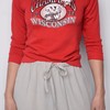 1994 Wisconsin Badger State Pullover Sweatshirt - University Football Fan Apparel