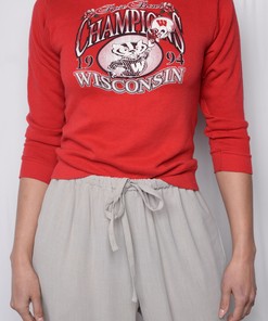 1994 Wisconsin Badger State Pullover Sweatshirt - University Football Fan Apparel
