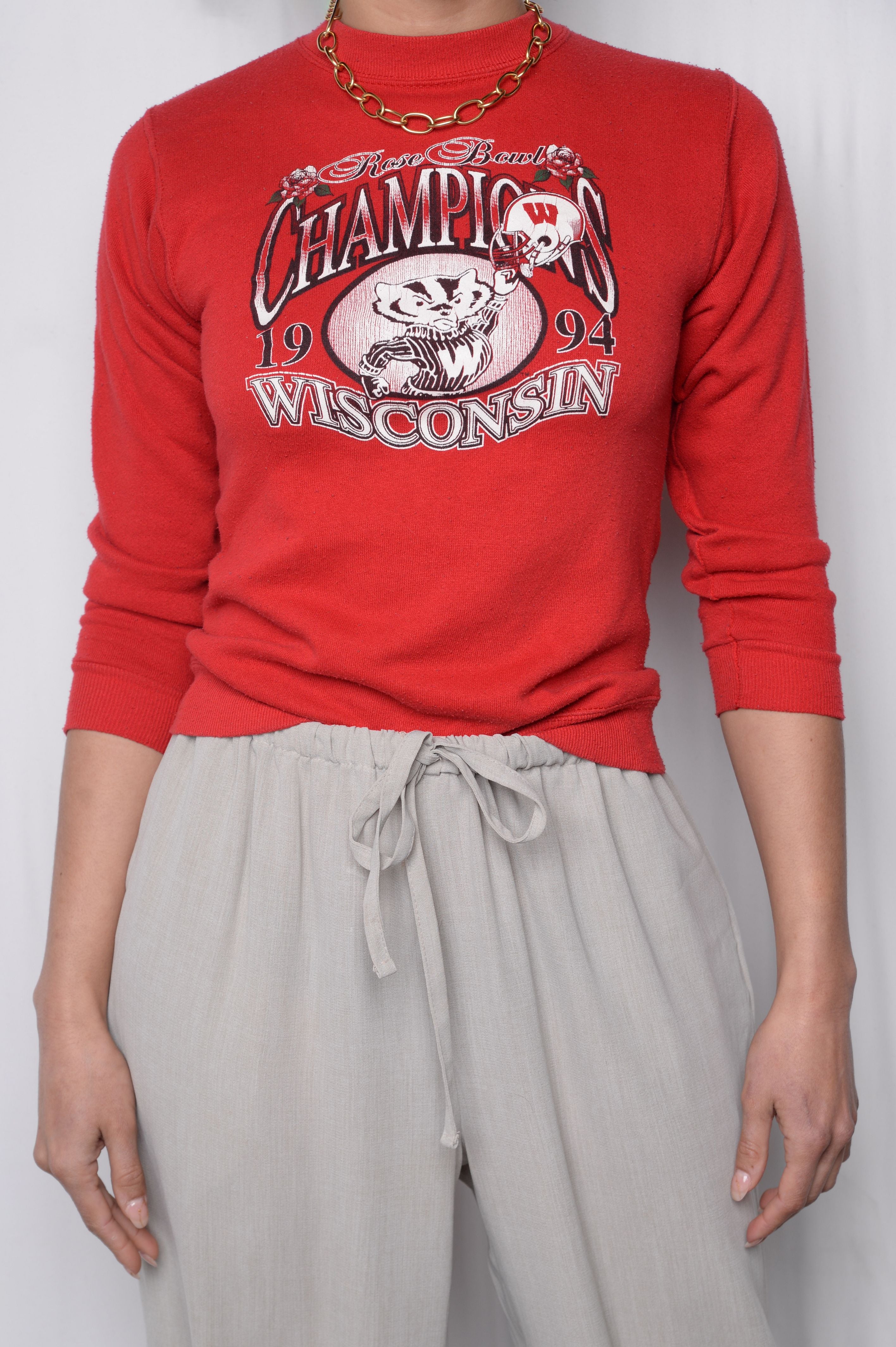 1994 Wisconsin Badger State Pullover Sweatshirt - University Football Fan Apparel
