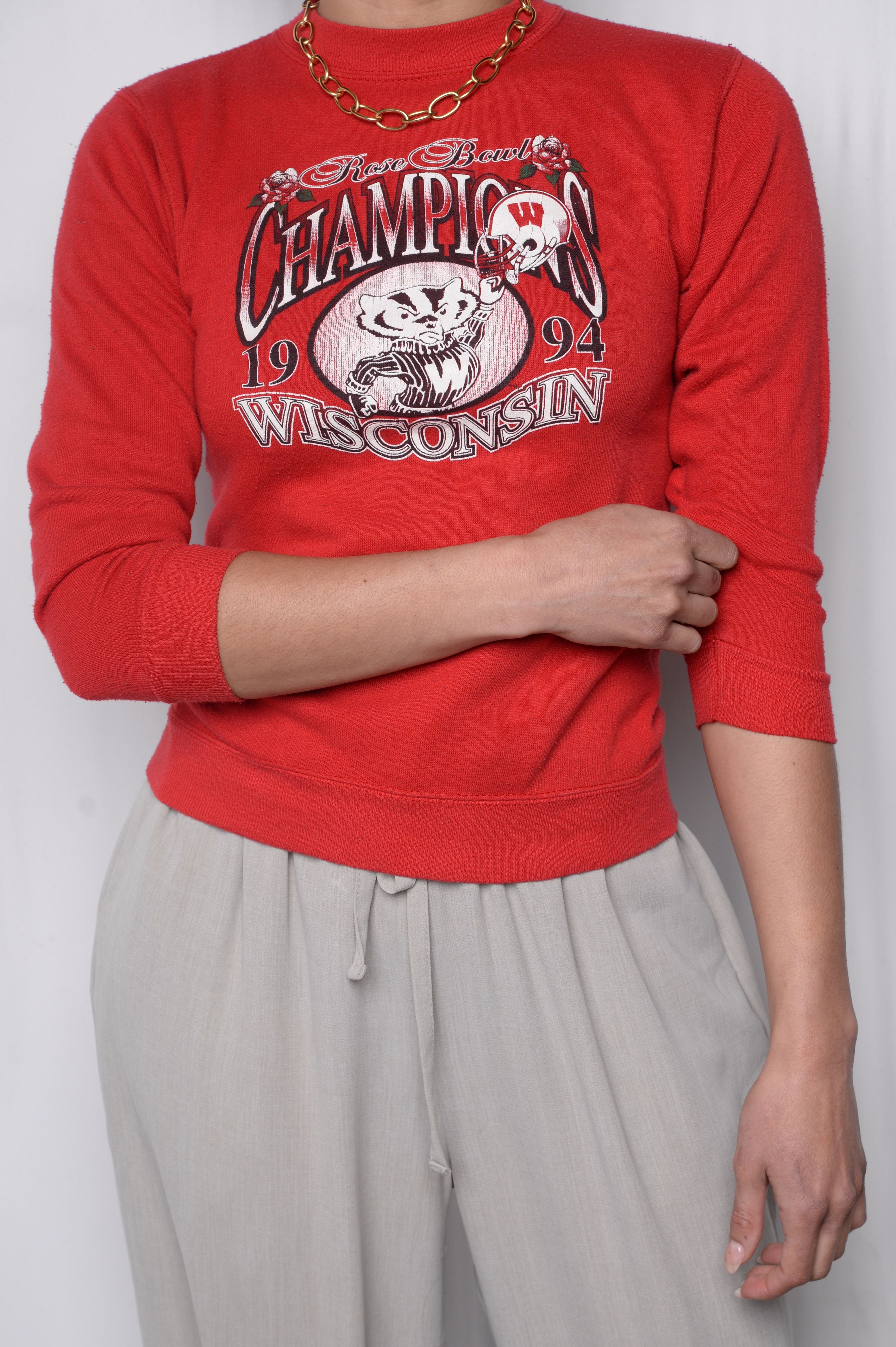 1994 Wisconsin Badger State Pullover Sweatshirt - University Football Fan Apparel - Image 2