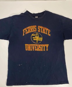 80’S Champion Ferris State University T-Shirt Sweatshirt American Football Sweatshirt Sports Gifts