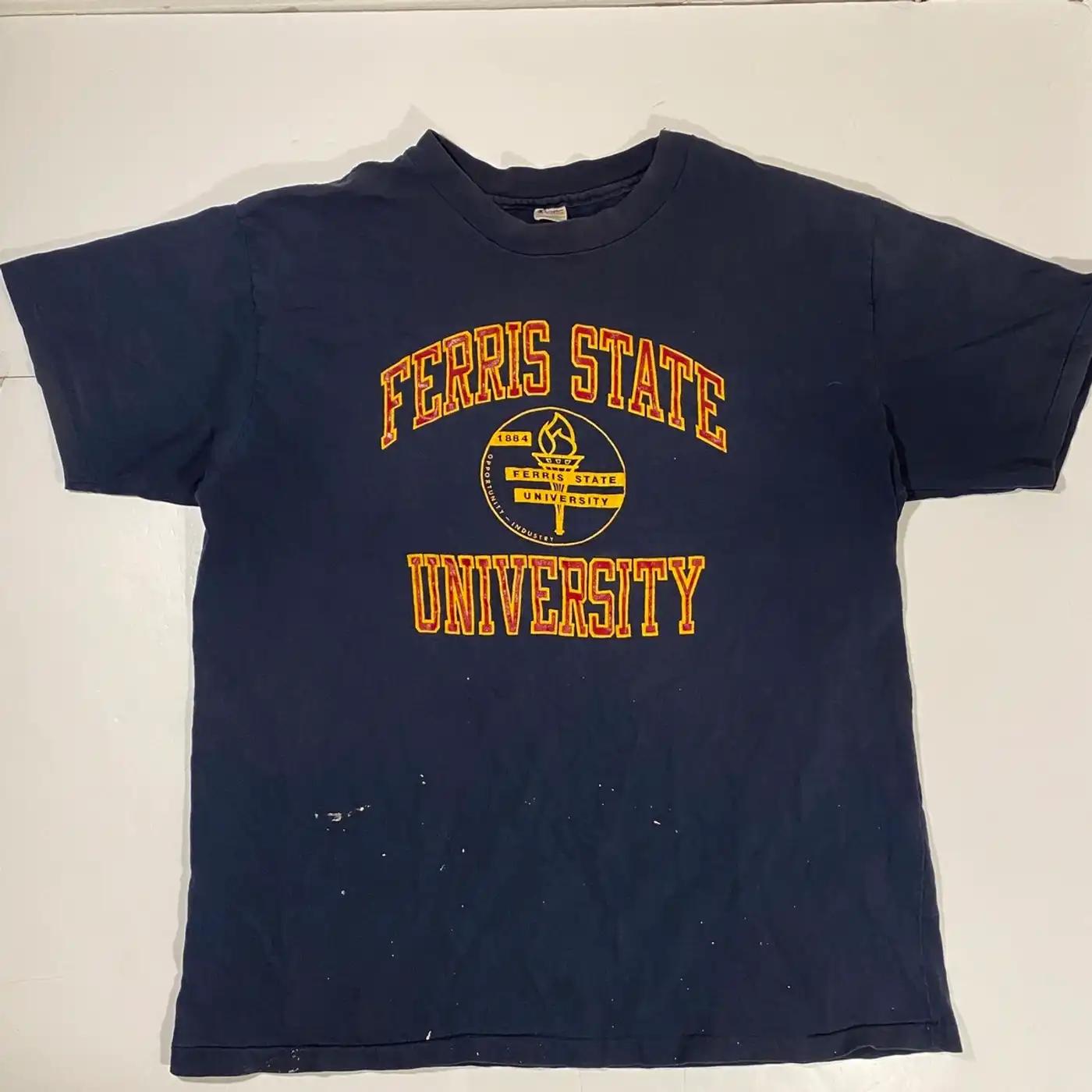 80’S Champion Ferris State University T-Shirt Sweatshirt American Football Sweatshirt Sports Gifts