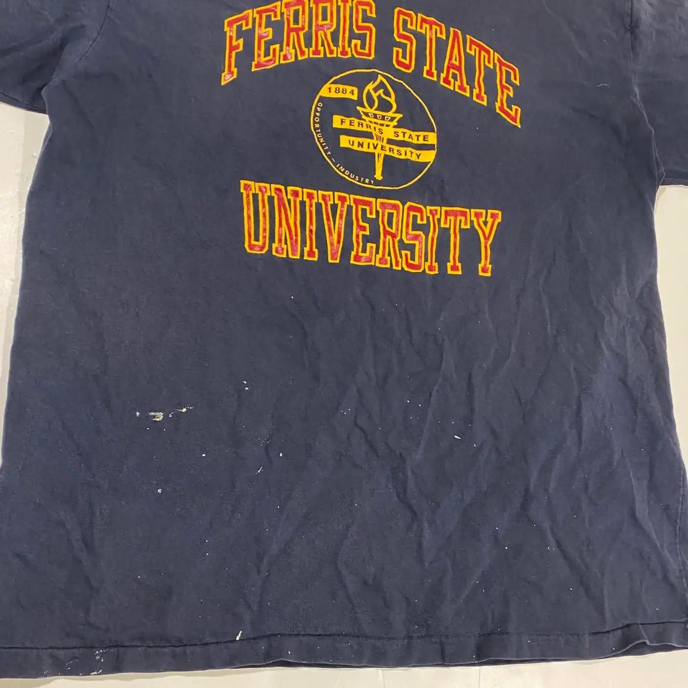 80’S Champion Ferris State University T-Shirt Sweatshirt American Football Sweatshirt Sports Gifts - Image 2