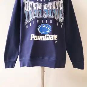 90S Penn State University Psu T-Shirt Sweatshirt Pullover Hoodie Reprinted Full Color Full Size - Image 2