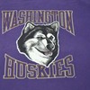 90'S University Of Washington Huskies Vintage Shirt, Football Sports Collage Grunge Baseball 80'S 90'S Hoodie