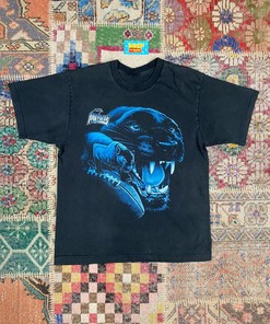 ‘90s Vintage Style NFL Football Carolina Panthers Logo Sweatshirt T-shirt, NFL Football Teams Gifts For Fans