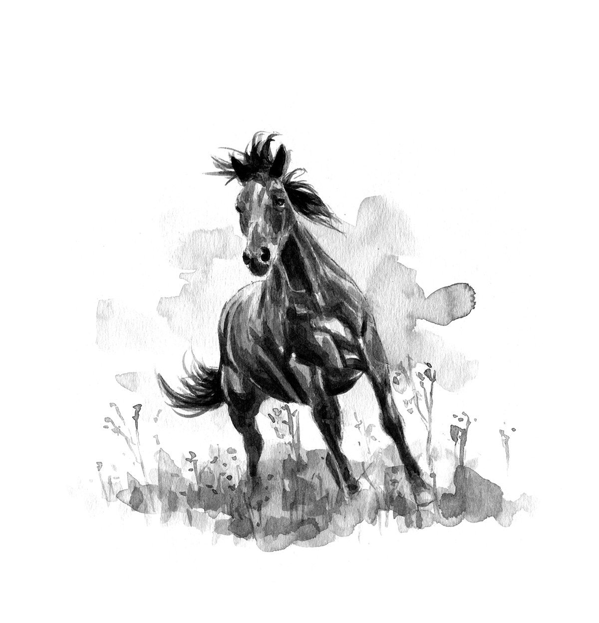 Add some black and white elegance with this Horse - Shower Curtain Black & White Curtain - Image 3