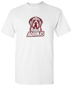 Aquinas Saints Logo Ncaa Shirt Sweatshirt Pullover Hoodie Gifts For Fans