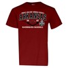Arkansas Razorbacks 2022 Baseball Cws Single Team Short Sleeve T-Shirt Cardinal