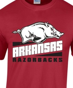 Arkansas Razorbacks Apparel Youth T-Shirt Arkansas Razorbacks Hoodie Sweatshirt Shirt Gift For Ncaa Fans