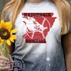 Arkansas Razorbacks Baseball, Woo Pig Sooie, Baseball Bleached T-Shirt, University Of Arkansas Hoodie, Sweatshirt