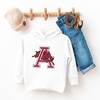 Arkansas Razorbacks Hoodie Sweatshirt Tee, Toddler Kids Woo Pig Sooie Apparel