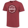 Arkansas Razorbacks Swim & Dive Circle Short Sleeve T-Shirt Cardinal, Hogs Shirt Gifts For Razorbacks Lover