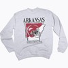 Arkansas Razorbacks The Dish Unisex Long Sleeve T-Shirt Ncaa Fan Apparel