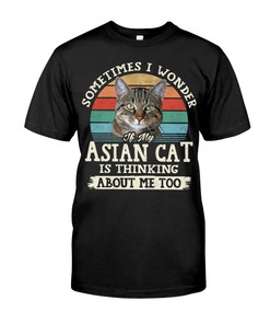 Asian Cat Love Vintage Style T-Shirt, Stylish Hoodie And Warm Crewneck