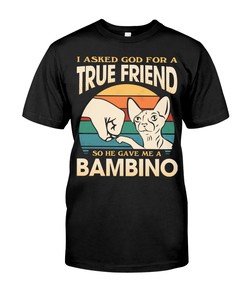 Bambino Cat T-Shirt - A Cute And Cuddly Addition To Your Cat Clothing Collection