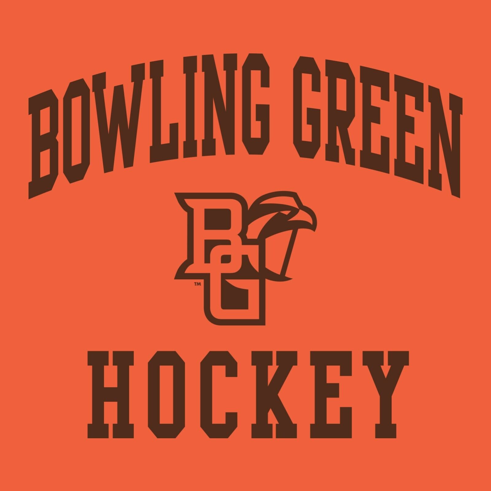 Bgsu Falcons Arch Logo Shirt Sweatshirt Pullover Hoodie Gifts For Fans - Image 2