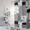 Black and White Shower Curtain with Modern Bath Accessories