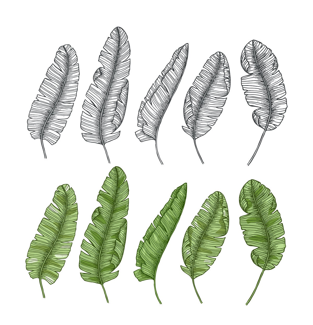 Bring the outdoors inside with Leaves Shower Curtain, perfect for a botanical feel - Image 2