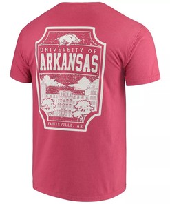 Cardinal Arkansas Razorbacks Comfort Colors Campus Icon T-Shirt, Hogs Shirt Gifts For Razorbacks Lover