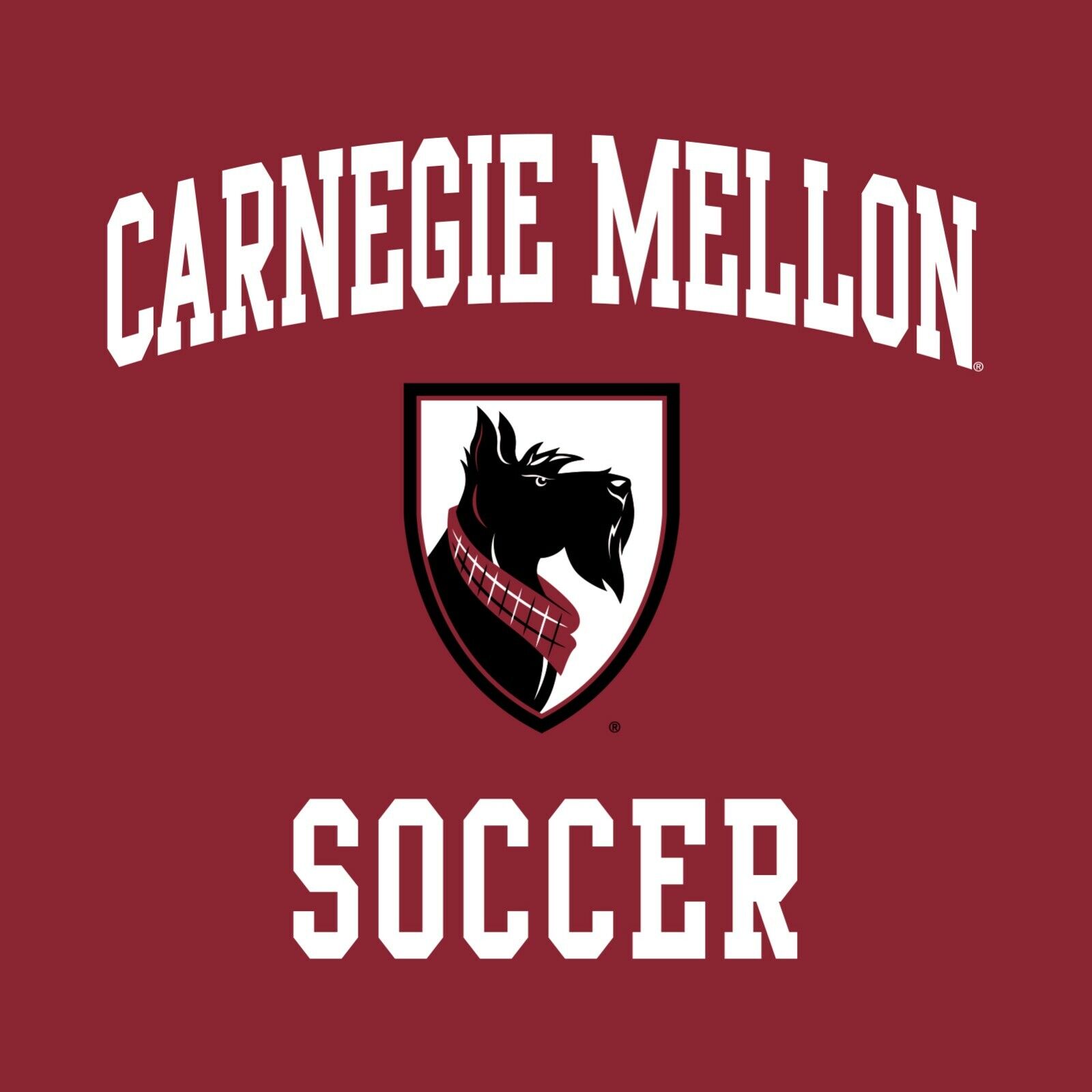 Carnegie Mellon Tartans Arch Logo Shirt Sweatshirt Hoodie, Fan Gifts - Image 2