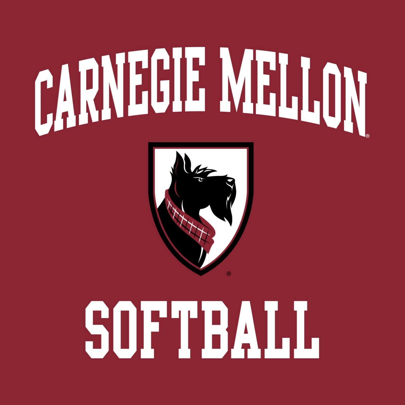 Carnegie Mellon Univ. Arch Logo Softball Shirt Sweatshirt Hoodie, Fan Gifts - Image 2