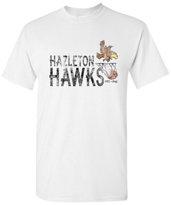 Cba Hazleton Hawks Classics Basic Shirt Sweatshirt Hoodie, Fan Gifts