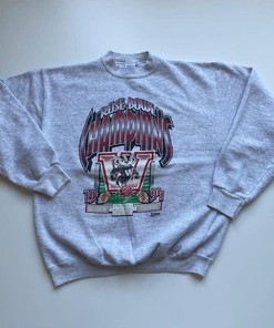Celebrate Wisconsin Badgers Rose Bowl Champions With Vintage 90S Ncaa T-Shirts, Sweatshirts, Hoodies