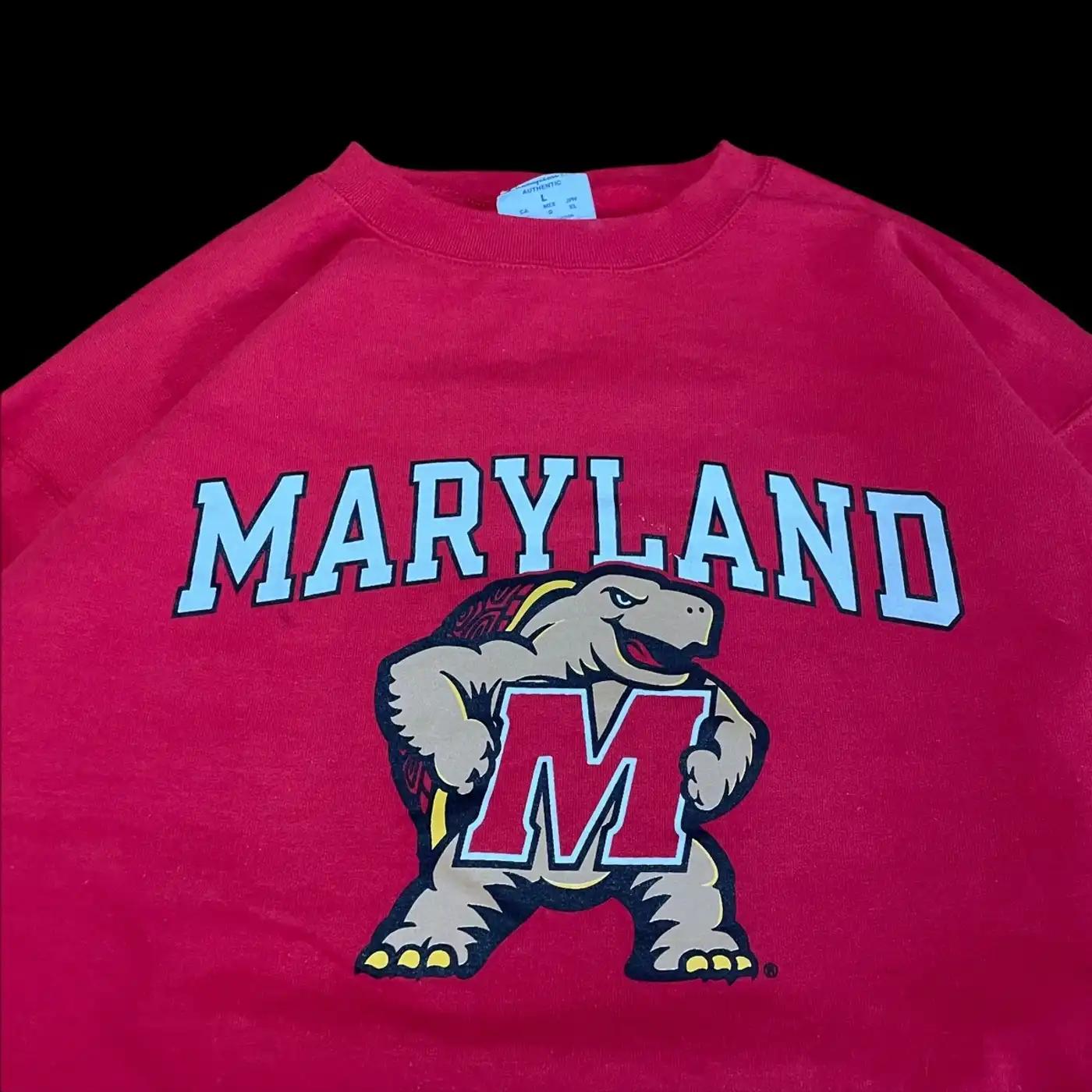 Champion Maryland Terrapins College Ncaa T-Shirt Sweatshirt American Football Sweatshirt Sports Gifts - Image 2