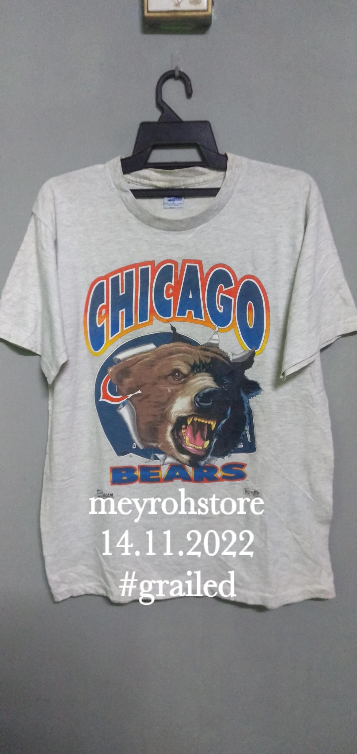 Chicago Bears Sweatshirt T-shirt Ideal Gift for NFL Fans