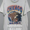 Chicago Bears T-Shirt Sweatshirt Pullover Hoodie Reprinted Full Color Full Size Gift For Nfl Fans