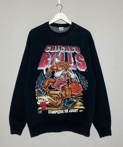 Chicago Bulls Vintage Style 90S Band T-Shirt, Sweatshirt, And Pullover Hoodie Reprinted Gift For Chicago Bulls Fans