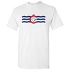 Cincinnati Us City Flag Basic Shirt Sweatshirt Hoodie, Fan Gifts