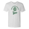 Colorado State Rams Retro Script Triblend Shirt Sweatshirt Pullover Hoodie For Fans