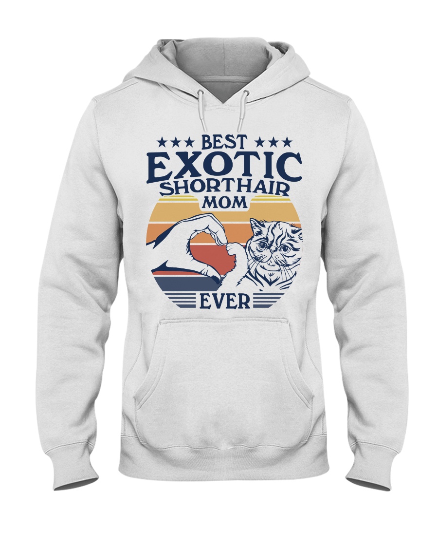 Cozy And Cute Exotic Shorthair Cat Sweatshirt - Stay Comfy With Your Feline Companion - Image 2