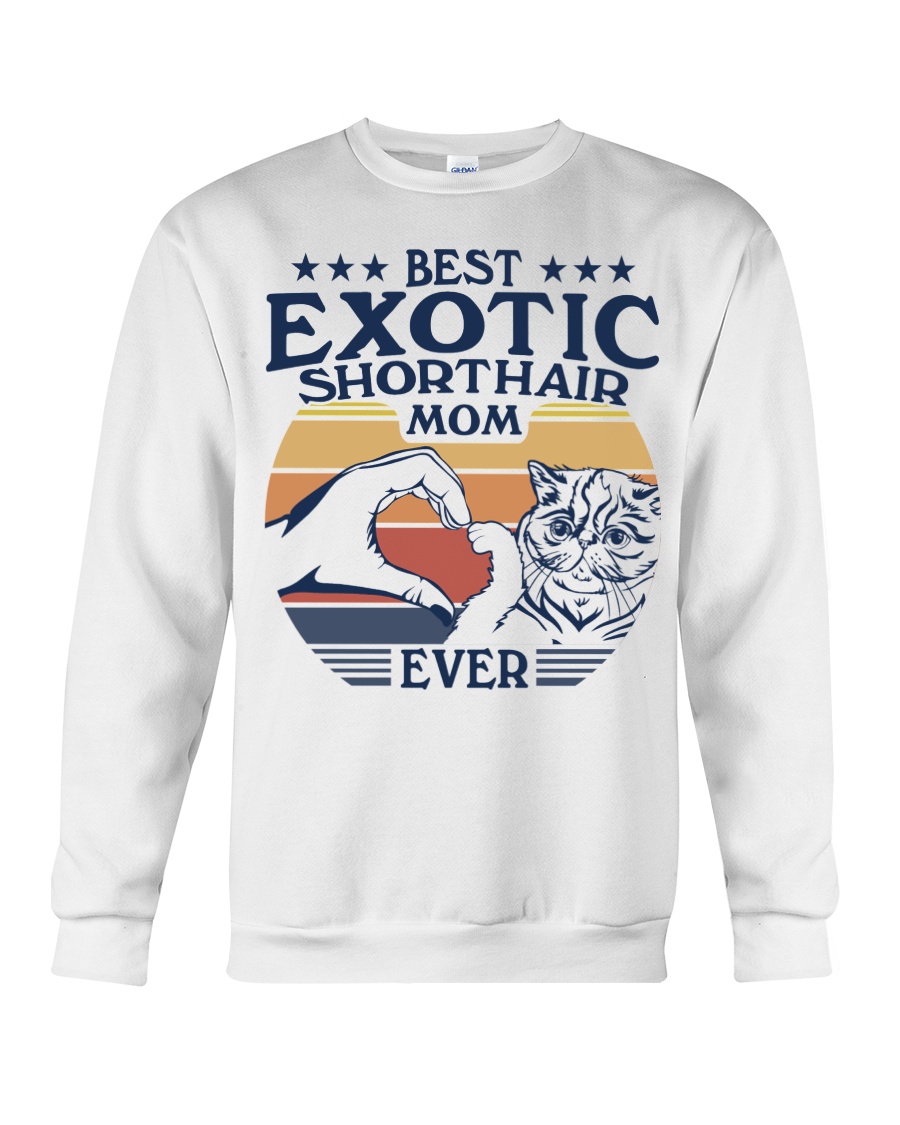 Cozy And Cute Exotic Shorthair Cat Sweatshirt - Stay Comfy With Your Feline Companion - Image 4
