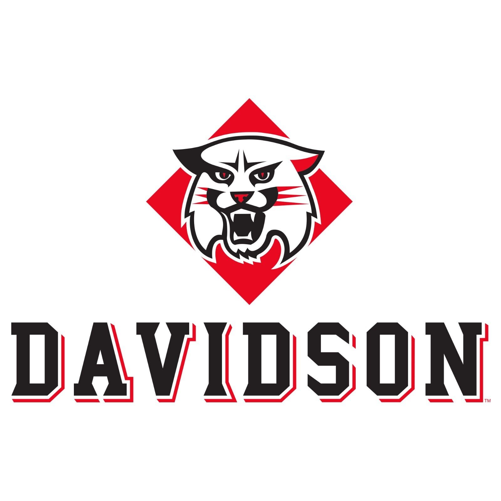 Davidson Wildcats Distressed Circle Logo Shirt Sweatshirt Pullover Hoodie - Image 2