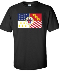 Detroit Us City Flag Basic Shirt Sweatshirt Pullover Hoodie Reprinted Gifts For Fans