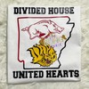 Divided House United Hearts Team T-Shirt, Uapb T-Shirt, Razorback T-Shirt, Golden Lions