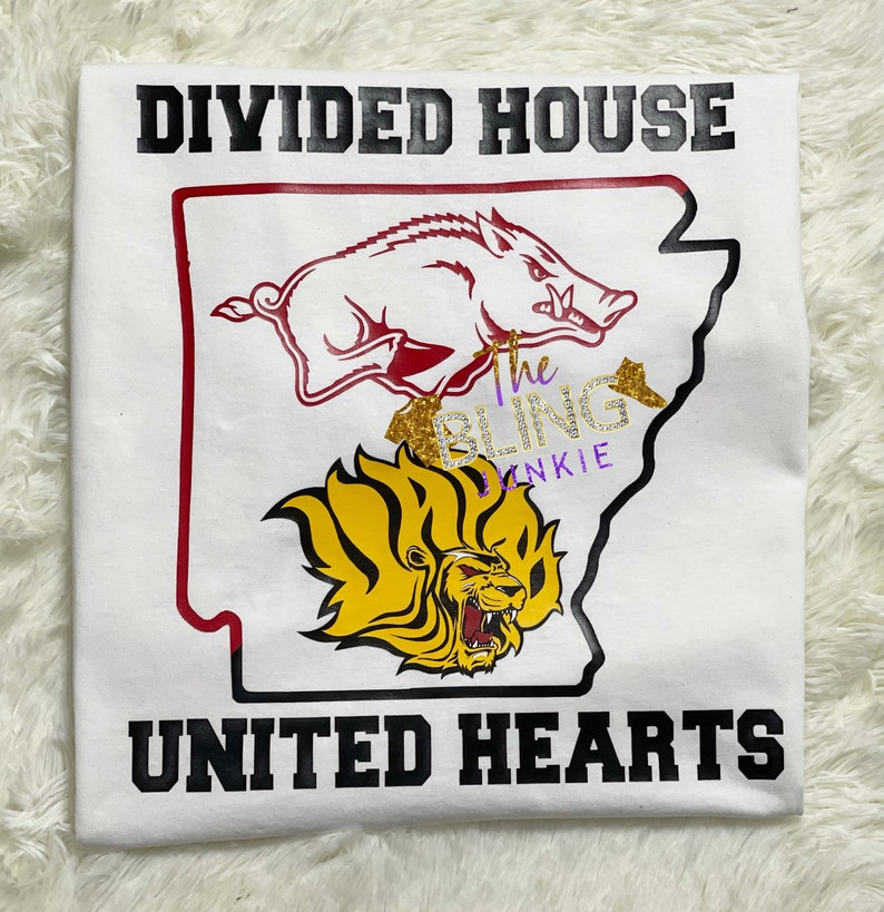 Divided House United Hearts Team T-Shirt, Uapb T-Shirt, Razorback T-Shirt, Golden Lions