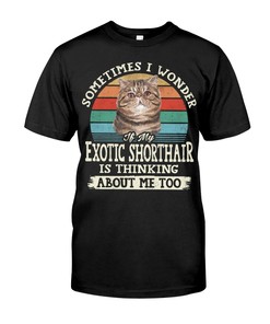 Exotic Shorthair Love Classy T-Shirt, Stylish Hoodie And Elegant Sweatshirt