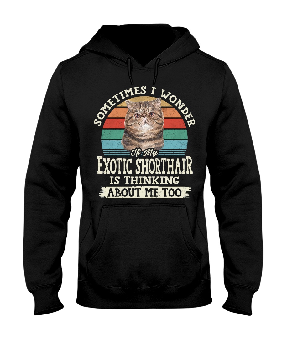 Exotic Shorthair Love Classy T-Shirt, Stylish Hoodie And Elegant Sweatshirt - Image 2